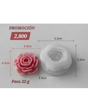 Flor Camelia S