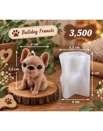 Bulldog Frances