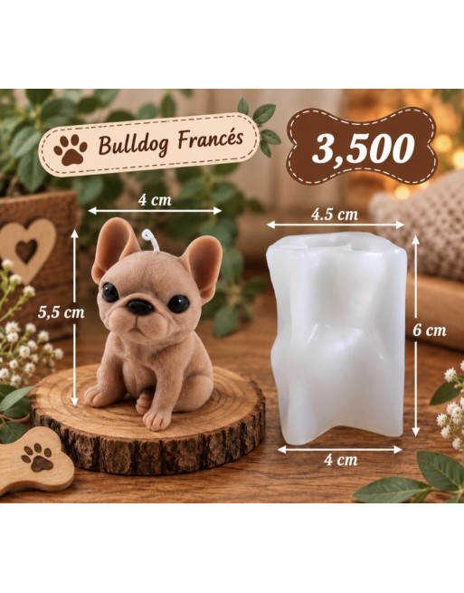 Bulldog Frances
