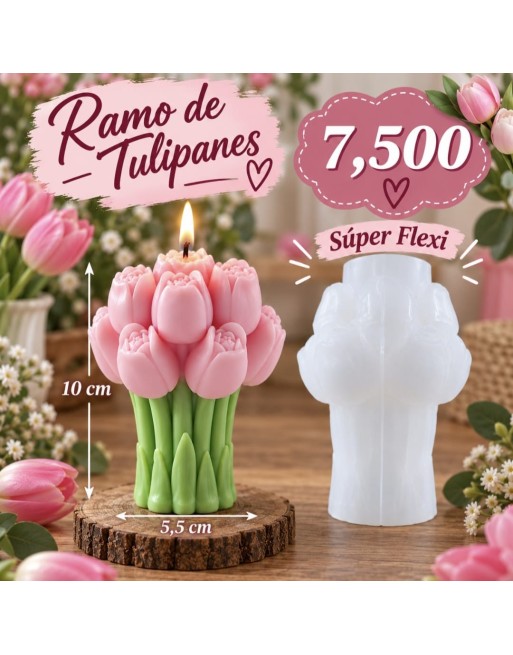 Ramo Tulipan
