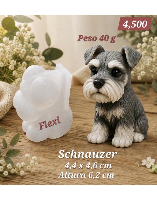 Schnauzer