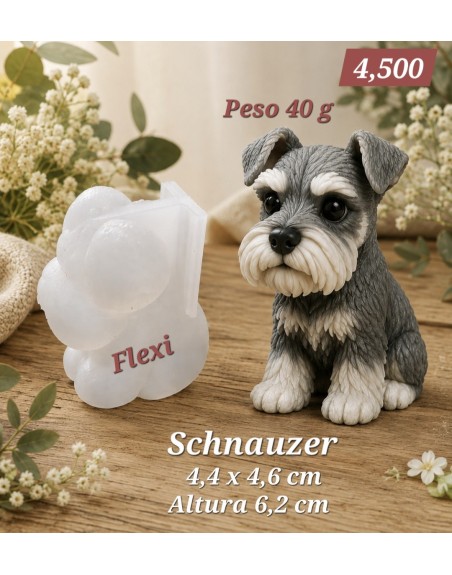 Schnauzer