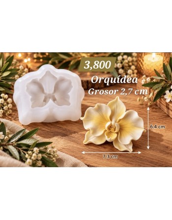 Orquidea Grande