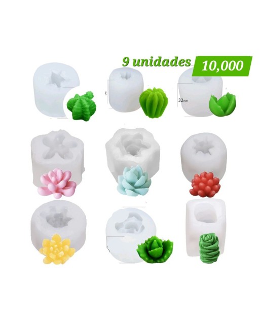 Set Suculentas mini x 9 unidades