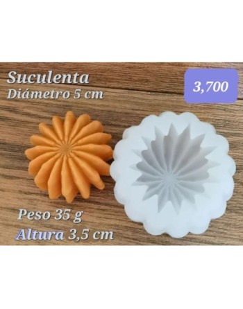 Suculenta Estrella