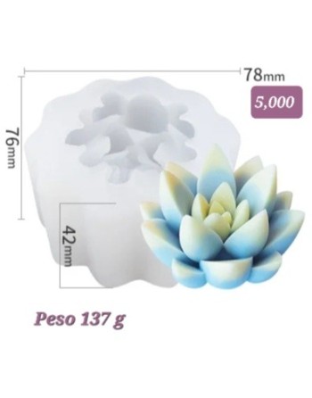 Flor de Loto