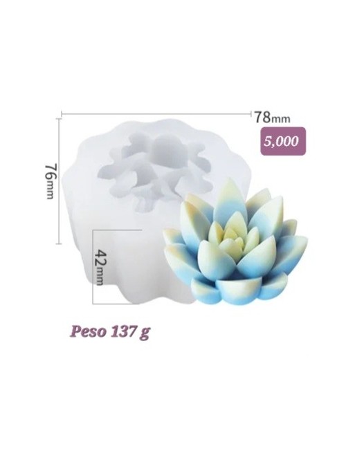 Flor de Loto