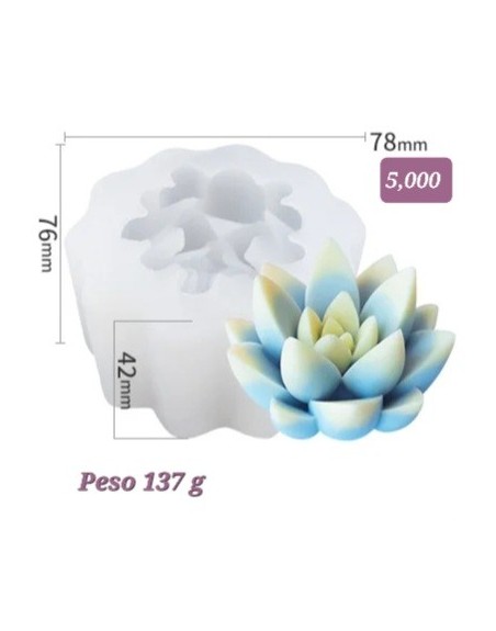 Flor de Loto