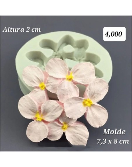 Flores de Hortensia