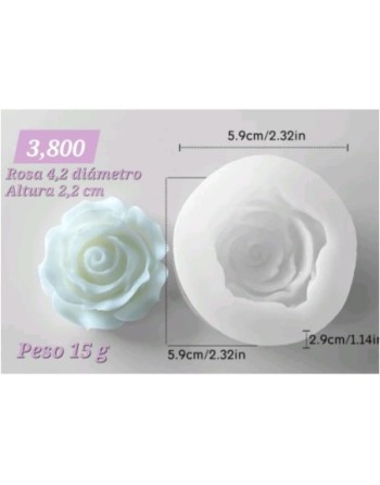 Rosa