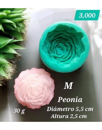 Peonia Mediana