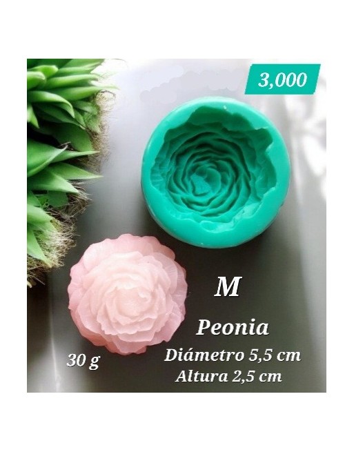 Peonia Mediana