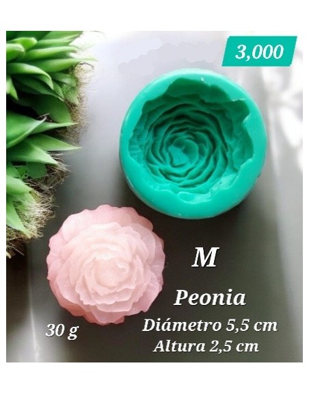 Peonia Mediana