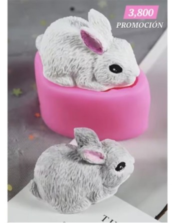 Conejo