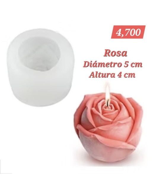 Rosa Pétalos M