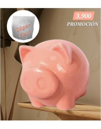 Chanchito
