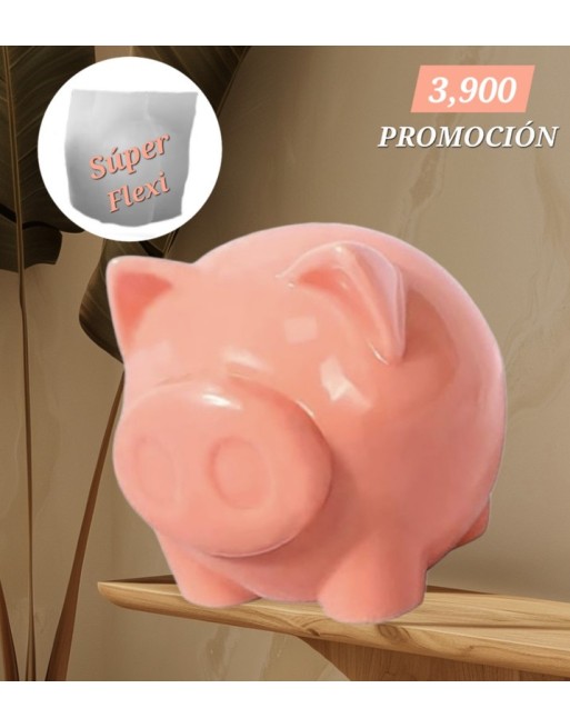 Chanchito