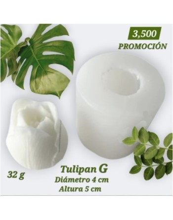 Tulipán Grande 3D