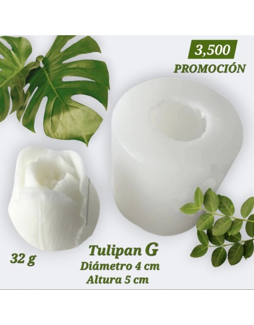Tulipán Grande 3D