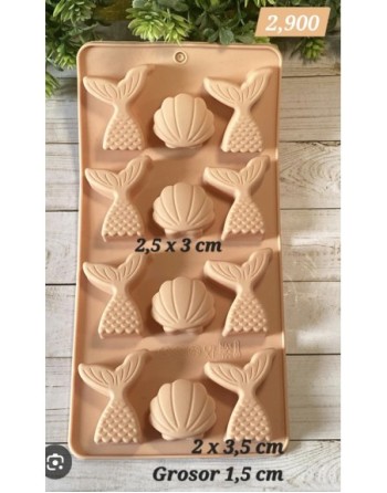 Colas de sirena y Conchas