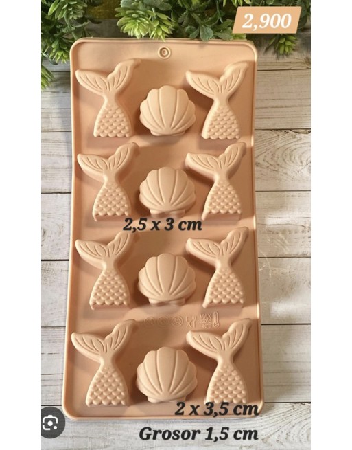 Colas de sirena y Conchas