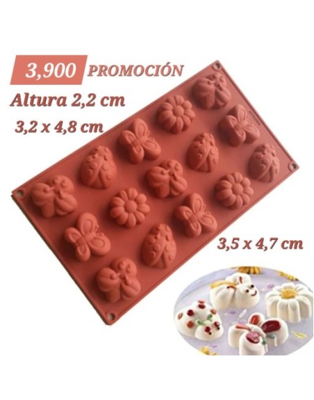 Surtido de Insectos y Plantas